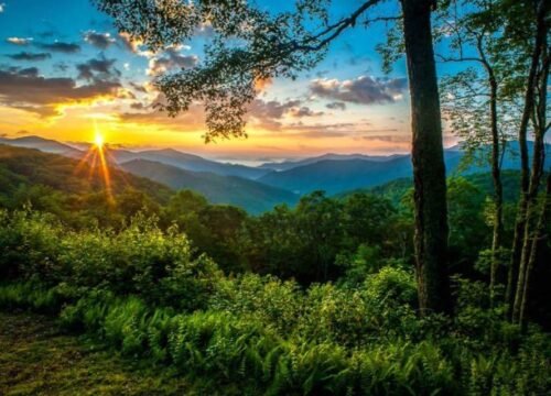 Hillbilly Campground