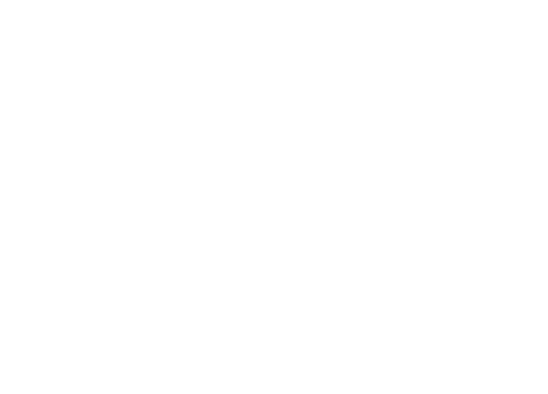 Mt Hood Village