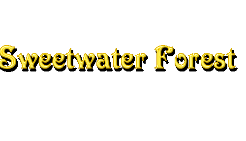 The Old Holbrook Place