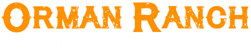 Timber Trails RV Park