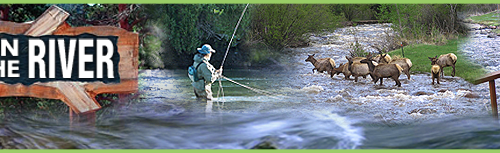 Paradise on the River