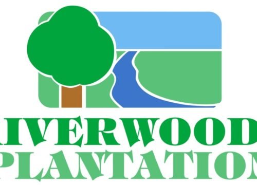 Sandy Oaks RV Resort