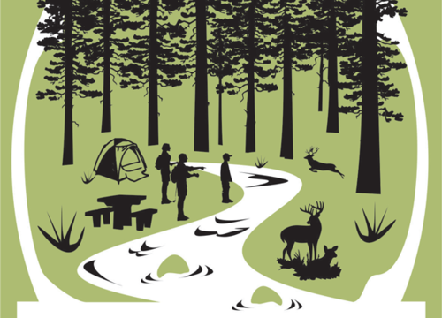 Hendy Woods State Park